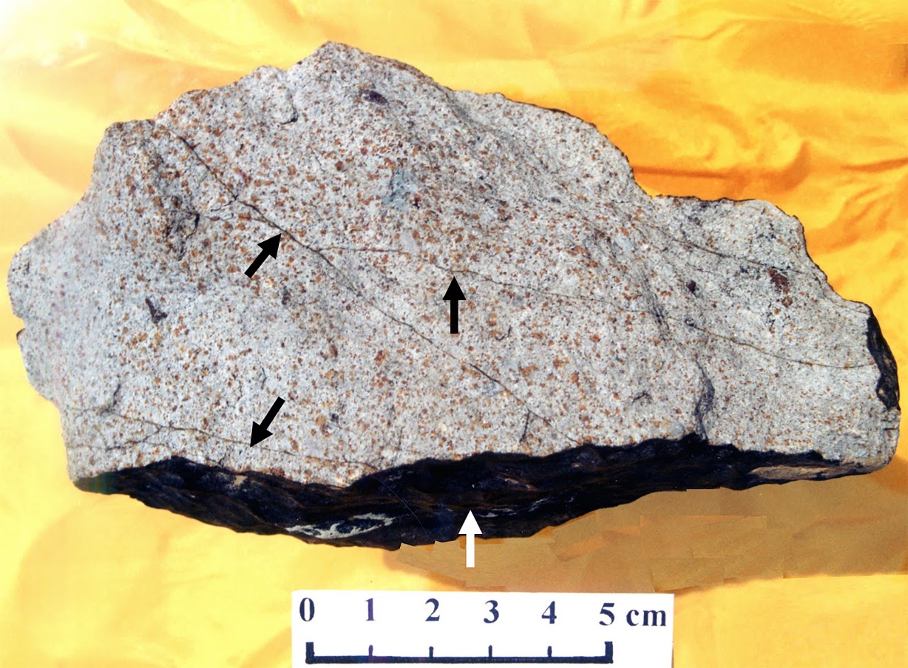 Hand specimen of a shocked chondrite with shock-induced melt veins